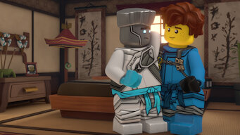 wasted true potential ninjago